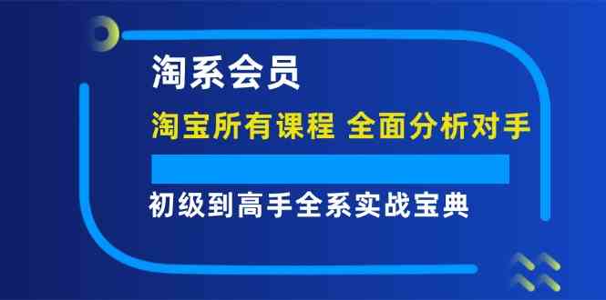 淘系会员初级到高手全系实战宝典【淘宝所有课程，全面分析对手】-项目网站