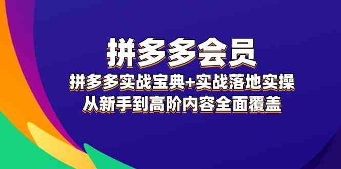 拼多多会员实战宝典+实战落地实操，从新手到高阶内容全面覆盖-项目网站