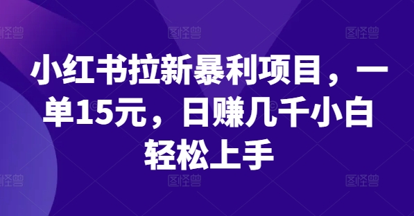 小红书拉新暴利项目，一单15元，日赚几千小白轻松上手-项目网站