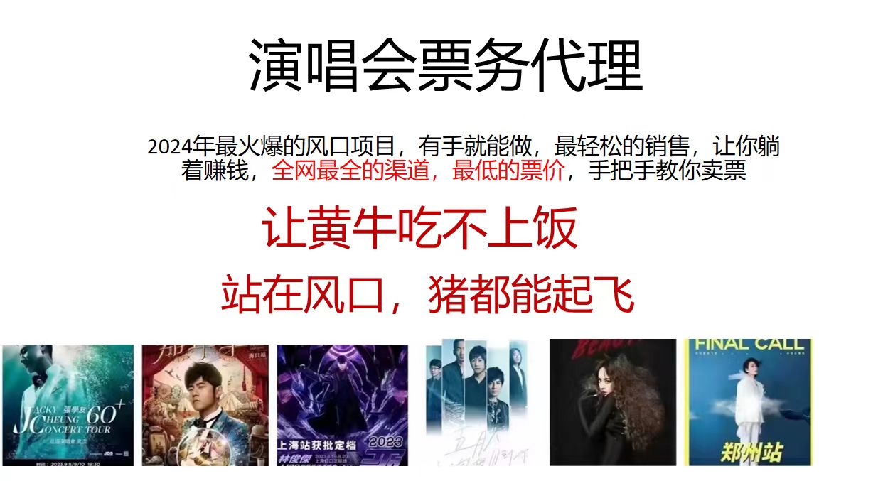 （12111期）演唱会门票代理，2024年低价票，小白能上手，手把手教你卖票，日入2000+.-项目网站