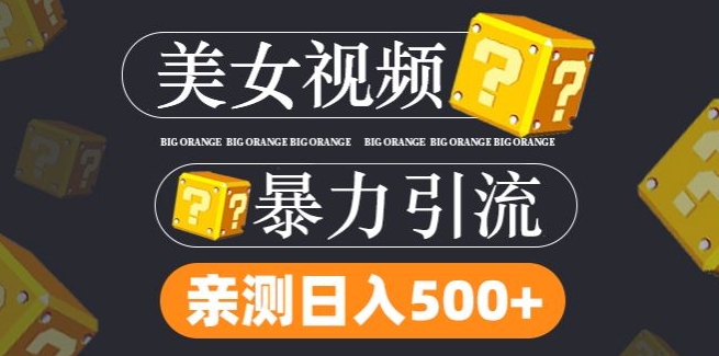 搬运tk美女视频全网分发，日引s粉300+，轻松变现，不限流量不封号-项目网站