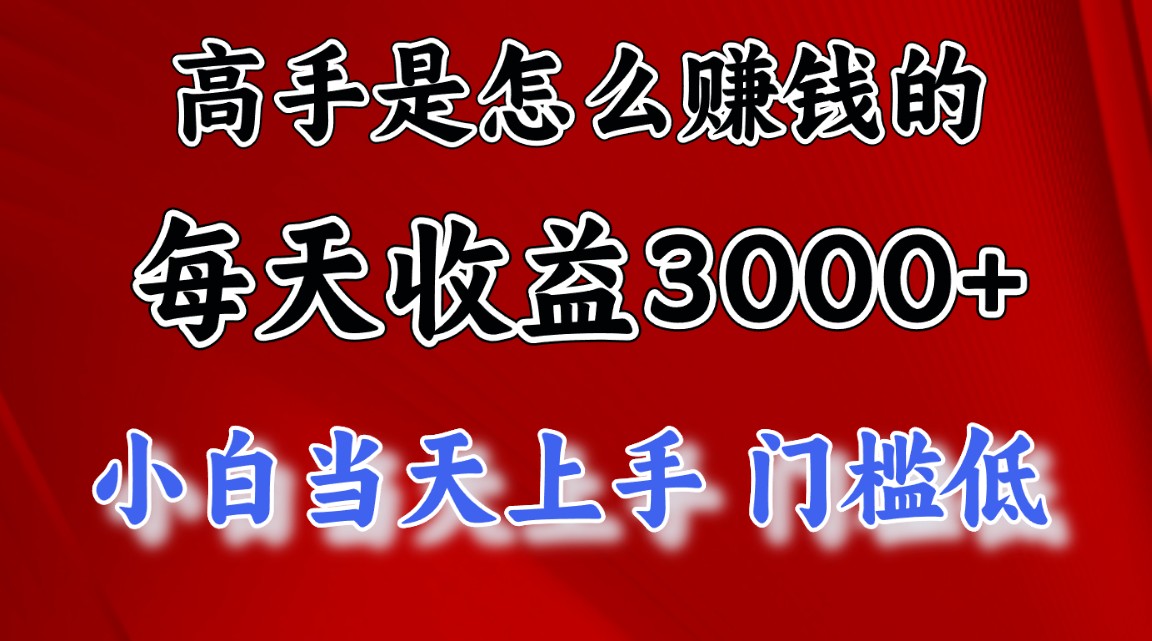 （12144期）1天收益3000+，月收益10万以上，24年8月份爆火项目-项目网站