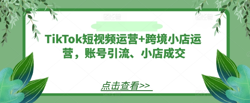 TikTok短视频运营+跨境小店运营，账号引流、小店成交-项目网站