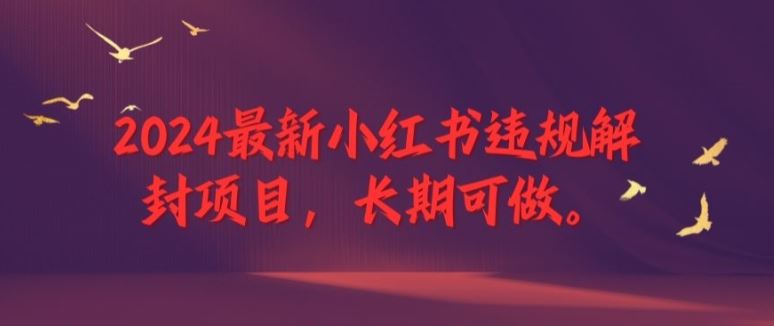 2024最新小红书违规解封项目，长期可做，一个可以做到退休的项目【揭秘】-项目网站