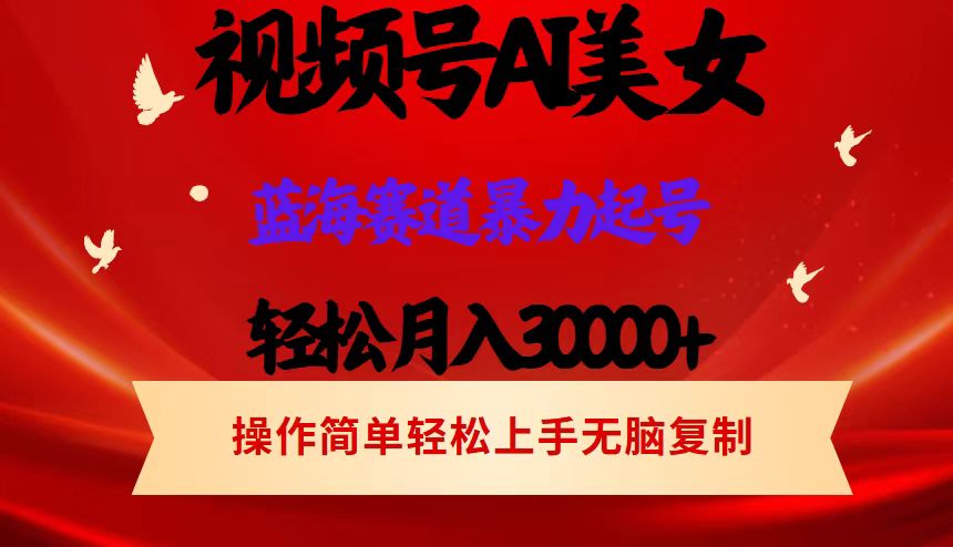 （12178期）视频号AI美女跳舞，轻松月入30000+，蓝海赛道，流量池巨大，起号猛，当…-项目网站