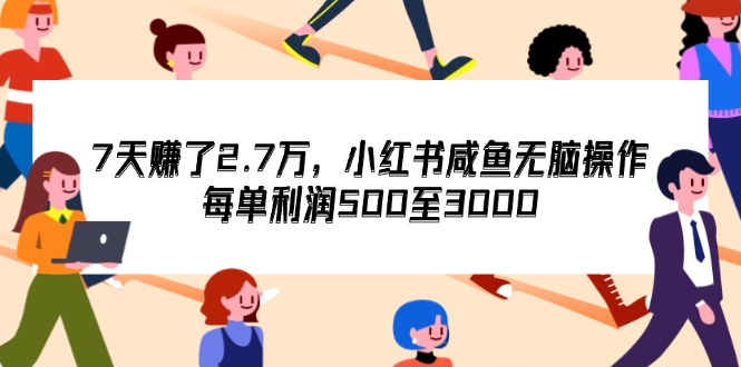 （12192期）7天收了2.7万，小红书咸鱼无脑操作，每单利润500至3000-项目网站