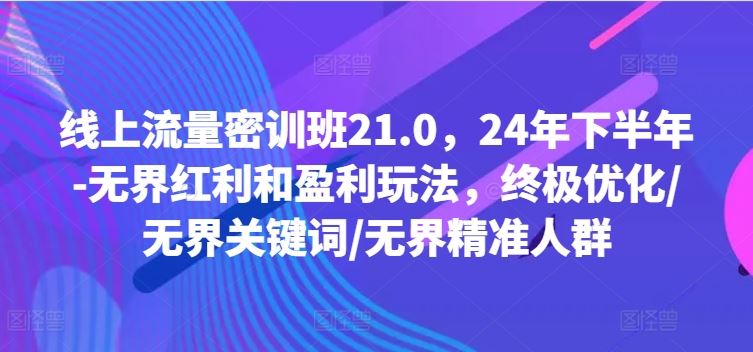 线上流量密训班21.0，24年下半年-无界红利和盈利玩法，终极优化/无界关键词/无界精准人群-项目网站