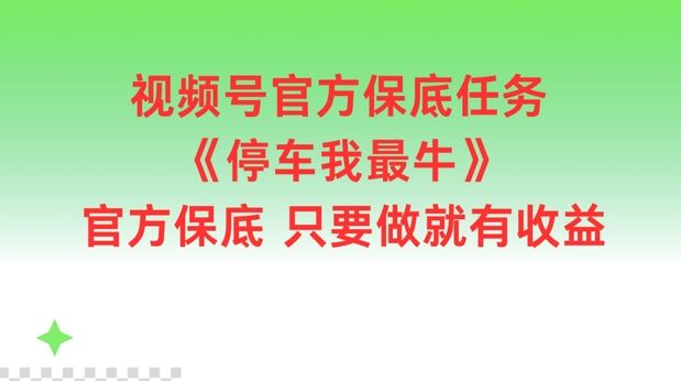 视频号官方保底任务，停车我最牛，官方保底只要做就有收益【揭秘】-项目网站