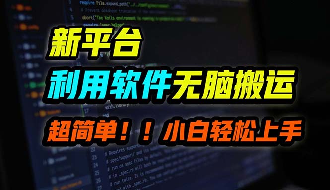 （12203期）B站平台用软件无脑搬运，月赚10000+，小白也能轻松上手-项目网站