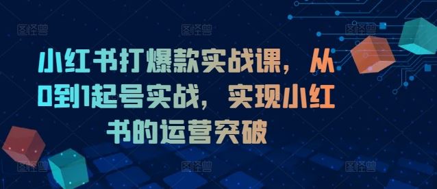 小红书打爆款实战课，从0到1起号实战，实现小红书的运营突破-项目网站