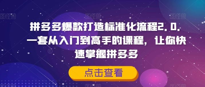 拼多多爆款打造标准化流程2.0，一套从入门到高手的课程，让你快速掌握拼多多-项目网站