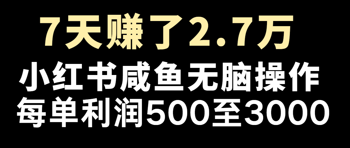七天赚了2.7万！每单利润最少500+，轻松月入5万+小白有手就行-项目网站