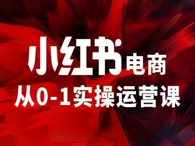小红书电商从0-1实操运营课，让你从小白到精英-项目网站