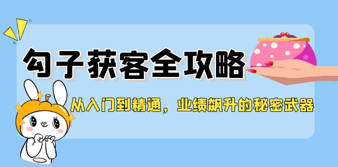 从入门到精通，勾子获客全攻略，业绩飙升的秘密武器-项目网站
