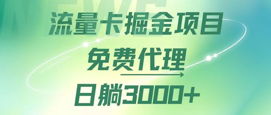 （12321期）流量卡掘金代理，日躺赚3000+，变现暴力，多种推广途径-项目网站