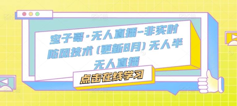 宝子哥·无人直播-非实时防风技术(更新8月)无人半无人直播-项目网站