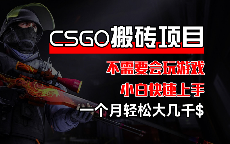 （12332期）CSGO 装备搬砖项目，操作简单，不需要会玩游戏，小白也能快速上手，一…-项目网站