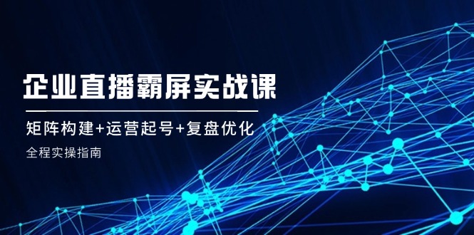 企业直播霸屏实战课：矩阵构建+运营起号+复盘优化，全程实操指南-项目网站