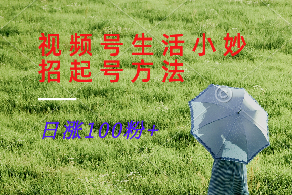 视频号生活小妙招分享赛道， 起号涨粉新方法，日涨100粉-项目网站