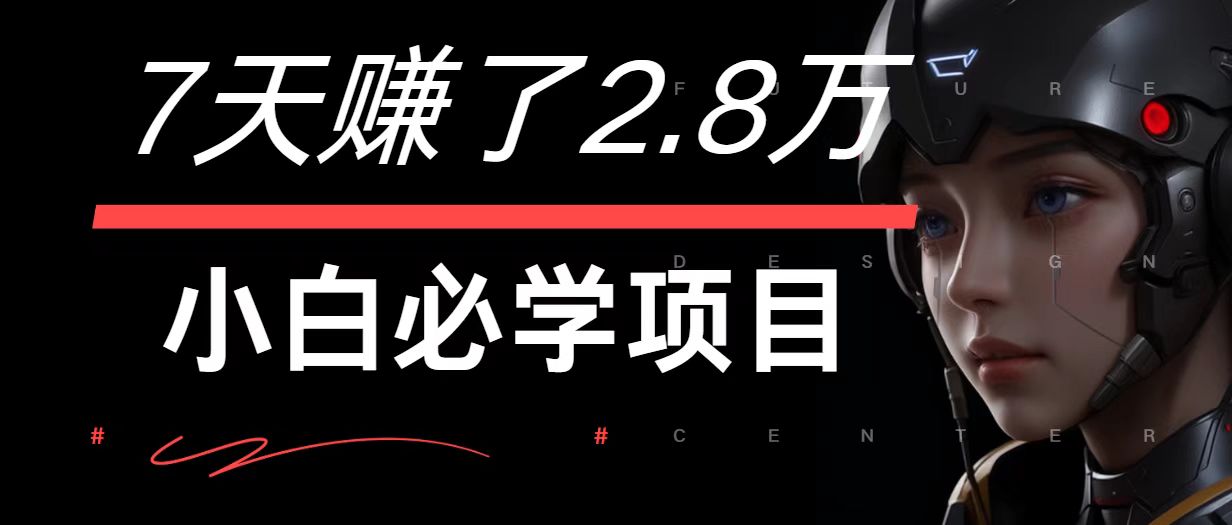 7天赚了2.8万！每单利润最少500+，轻松月入7万+小白有手就行-项目网站