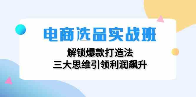 电商选品实战班：解锁爆款打造法，三大思维引领利润飙升-项目网站