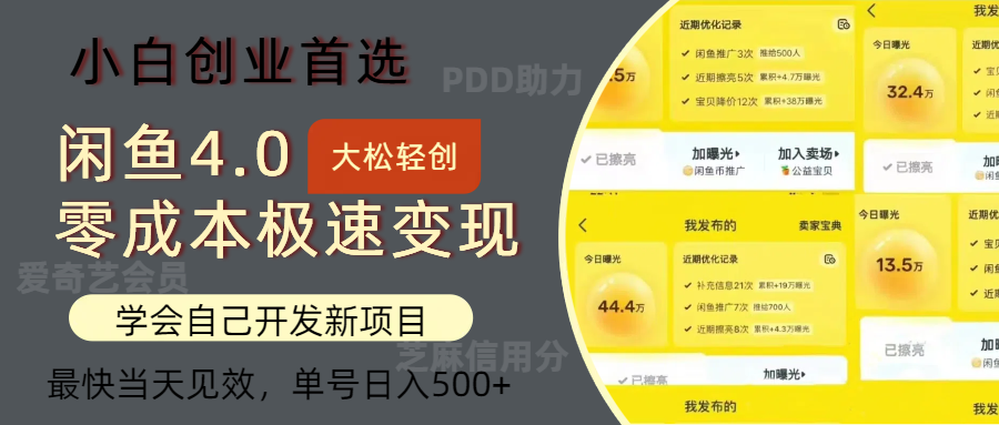 （12434期）闲鱼0成本极速变现项目，多种变现方式 单号日入500+最新玩法-项目网站