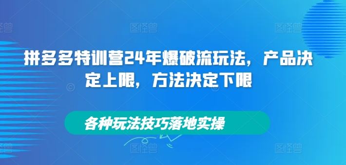 拼多多特训营24年爆破流玩法，产品决定上限，方法决定下限，各种玩法技巧落地实操-项目网站
