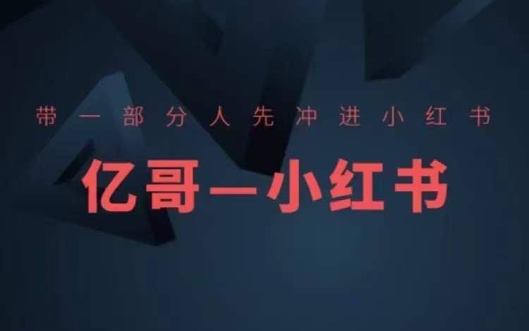 ​​带一部分人先冲进小红书，小红书开店、选品、爆款裂变-项目网站