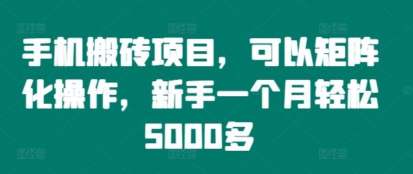手机搬砖项目，可以矩阵化操作，新手一个月轻松5000多-项目网站