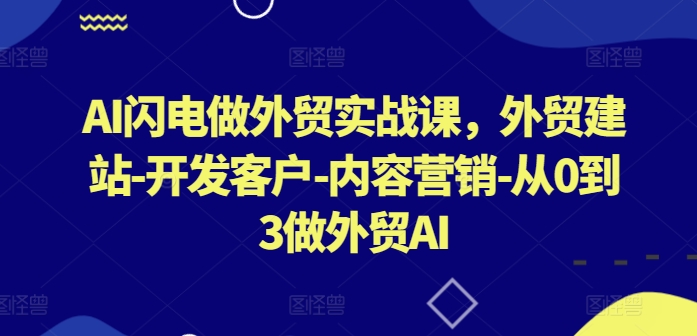 AI闪电做外贸实战课，​外贸建站-开发客户-内容营销-从0到3做外贸AI(更新)-项目网站