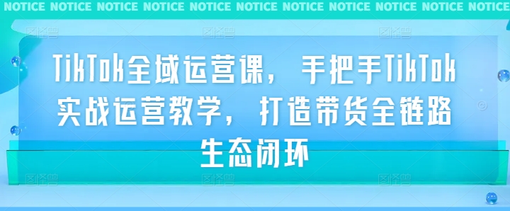 TikTok全域运营课，手把手TikTok实战运营教学，打造带货全链路生态闭环-项目网站