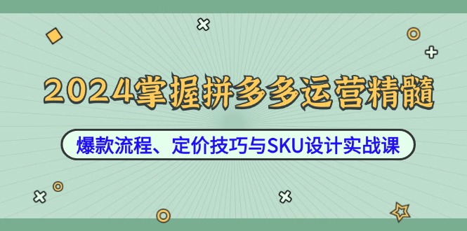 2024掌握拼多多运营精髓：爆款流程、定价技巧与SKU设计实战课-项目网站