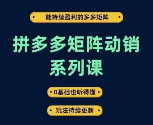 拼多多矩阵动销系列课，能持续盈利的多多矩阵，0基础也听得懂，玩法持续更新-项目网站