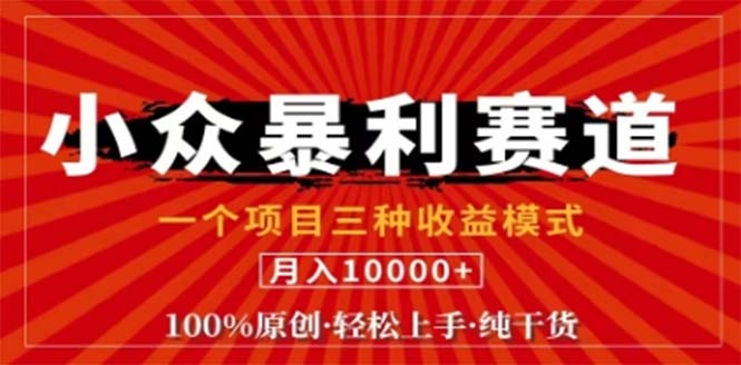 视频号最新爆火赛道，三种可收益模式，0粉新号条条原创条条热门 日入1000+-项目网站