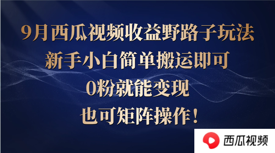 西瓜视频收益野路子玩法，新手小白简单搬运即可，0粉就能变现，也可矩…-项目网站