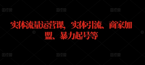 实体流量运营课，实体引流、商家加盟、暴力起号等-项目网站