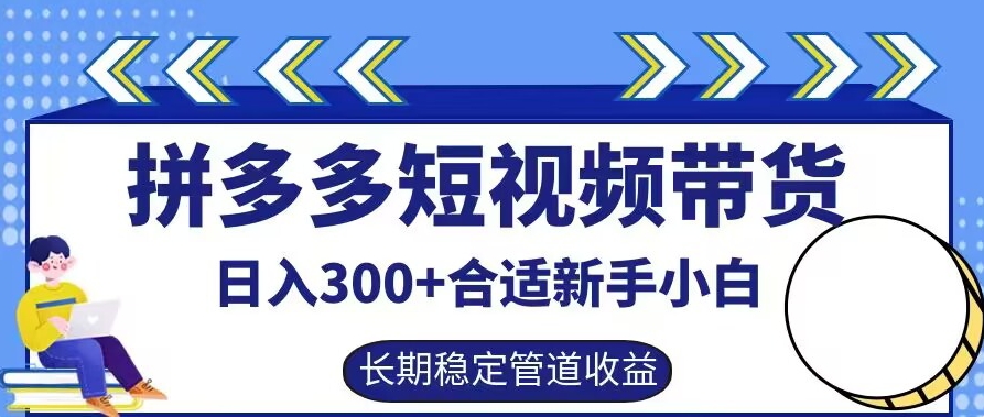 拼多多短视频带货日入300+有长期稳定被动收益，合适新手小白【揭秘】-项目网站