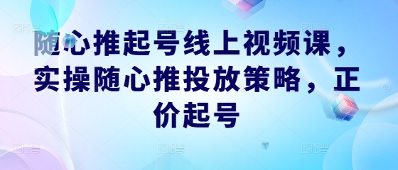 随心推起号线上视频课，实操随心推投放策略，正价起号-项目网站