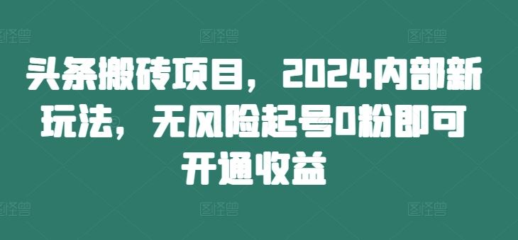头条搬砖项目，2024内部新玩法，无风险起号0粉即可开通收益-项目网站