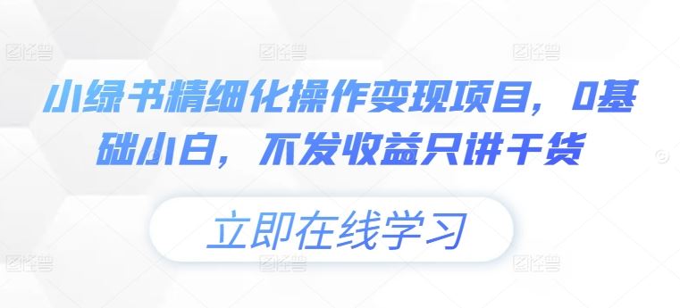 小绿书精细化操作变现项目，0基础小白，不发收益只讲干货-项目网站