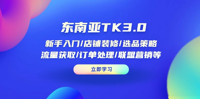 东南亚TK3.0：新手入门/店铺装修/选品策略/流量获取/订单处理/联盟营销等-项目网站