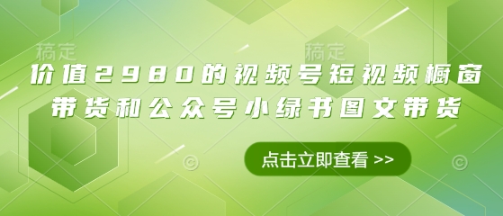 价值2980的视频号短视频橱窗带货和公众号小绿书图文带货-项目网站
