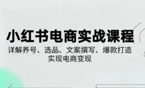 小红书从0-1实操课(2023-2025)，详解养号、选品、文案撰写、爆款打造实现电商变现-项目网站