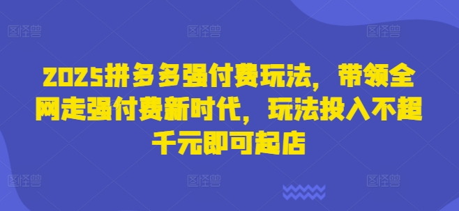 2025拼多多强付费玩法，带领全网走强付费新时代，玩法投入不超千元即可起店-项目网站