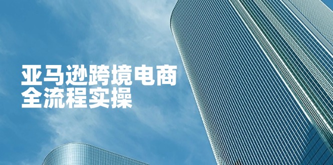 亚马逊跨境电商全流程实操，教你从零开始，掌握店铺运营与广告技巧-项目网站