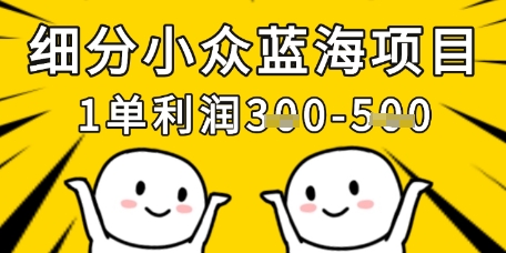 细分小众蓝海项目，一单利润3张，每月收入稳定过1w+-项目网站