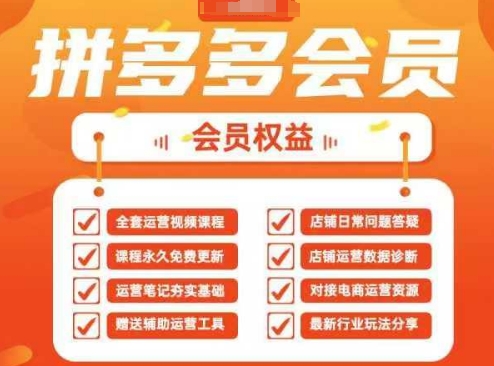 2025拼多多运营实战课，40节全流程教学，覆盖拼多多运营全链路-项目网站