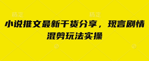 小说推文最新干货分享，现言剧情混剪玩法实操-项目网站