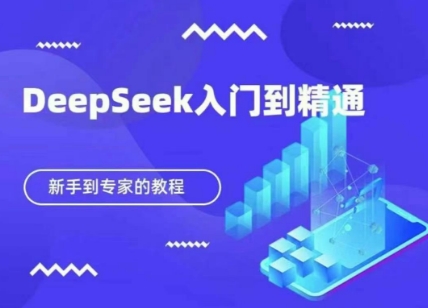 DeepSeek快速从入门到精通，新手的保姆级教程-项目网站