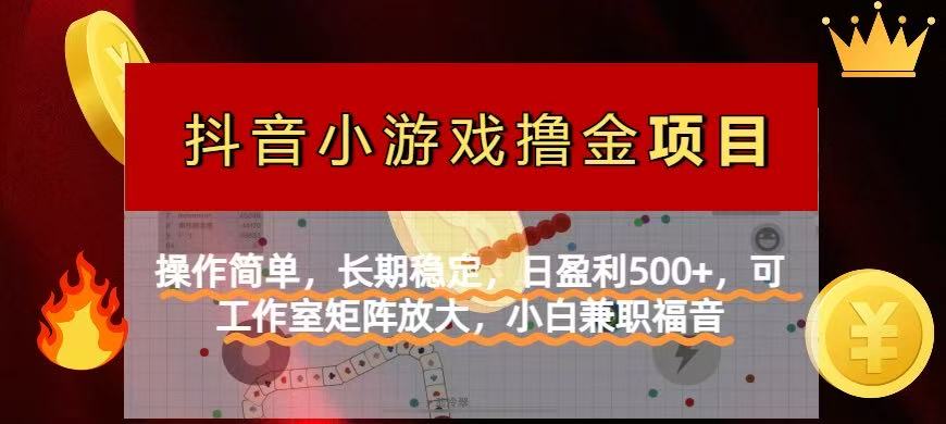【抖音小游戏发行人计划项目】操作简单，长期稳定，日盈利500+，可工作…-项目网站